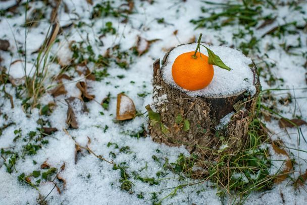 На сході очікується мокрий сніг з дощем / © Unsplash