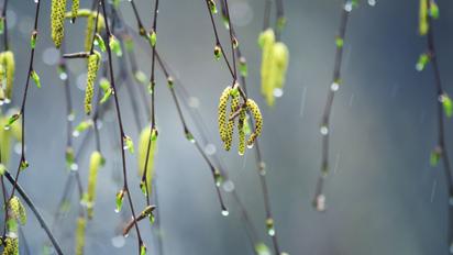Весенний пейзаж