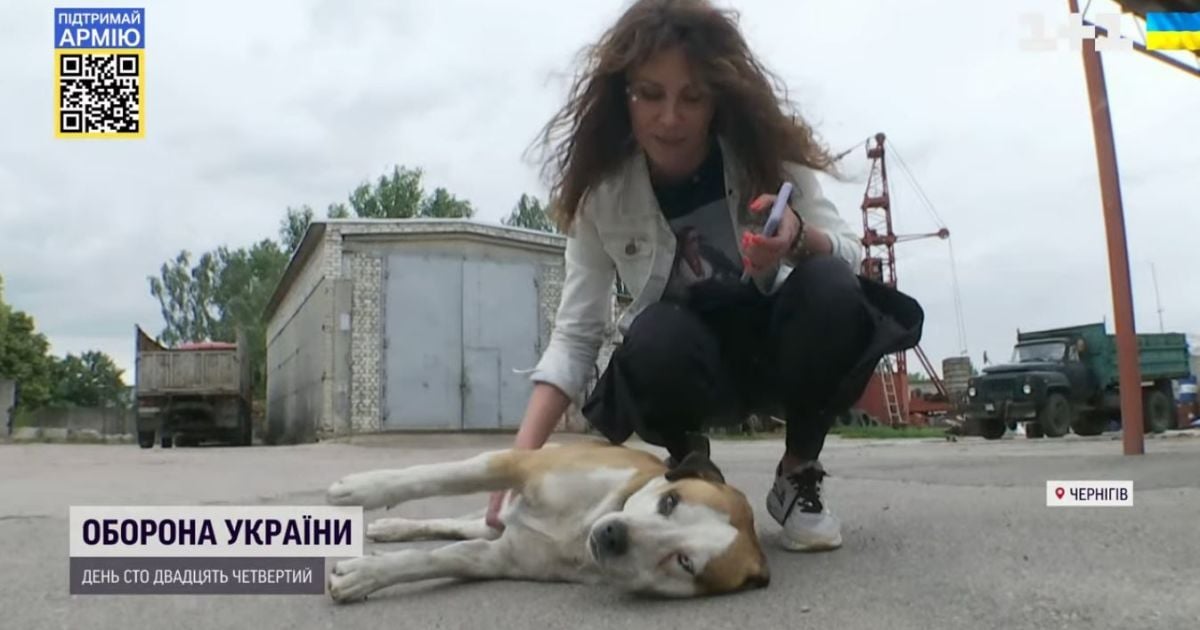Власниця підприємства в Чернігові під обстрілами забирала до бомбосховища тварин, ті ж рятували людей від холоду