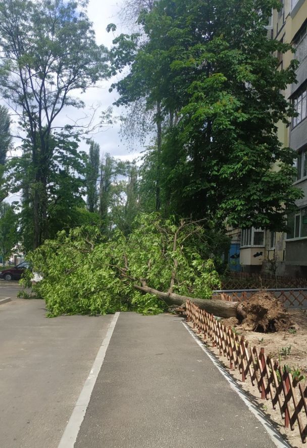 Фото: "Дніпро Обласний"
