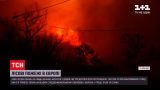 Новости мира: во французской Ривьере из-за лесных пожаров погибли два человека