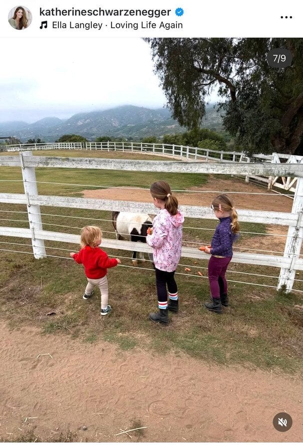 Дети Кэтрин Шварценеггер, фото: instagram.com/katherineschwarzenegger
