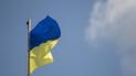 Витер руки об прапор України: у Вінницькій області раніше судимий познущався із державного символу