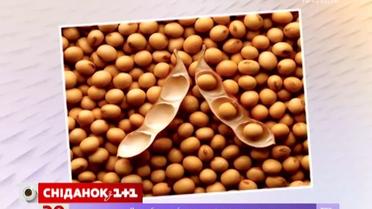 Потребление сои может привести к бесплодию