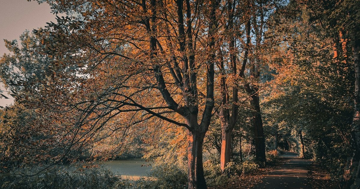 До України повернулося тепло