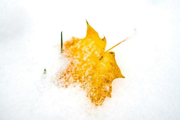 Народні прикмети 22 жовтня / © unsplash.com