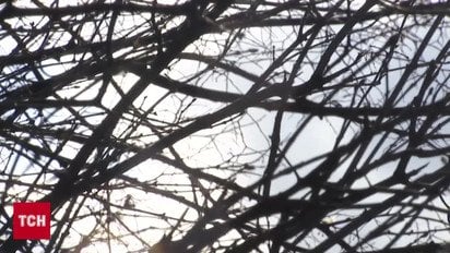 Чи проводитимуть США наземну операцію в Ірані?