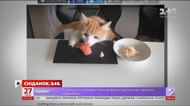 Известный шеф-повар из Японии рассказал, как удовлетворить вкусы своих котов