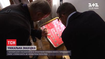 Знаки і літери, невідомі історикам: у Житомирському музеї презентували "Городницький скарб"