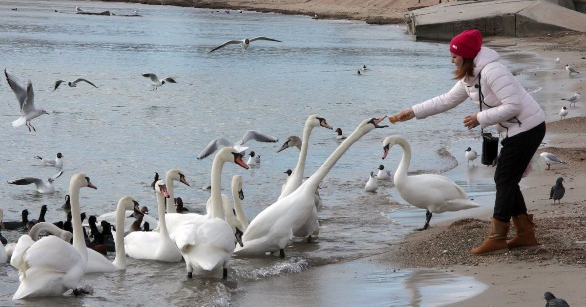 Репетиция весны. В Украине на один день станет тепло аж до 16 градусов в отдельных регионах