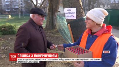 Елка в обмен на шоколад: одесситов поощряют не выбрасывать новогодние деревья