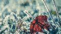 Гороскоп на 18 листопада