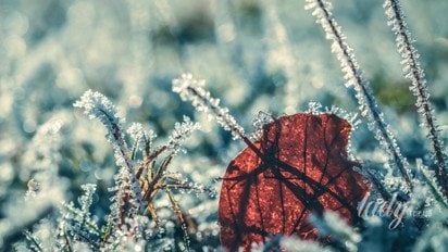 Гороскоп на 18 листопада