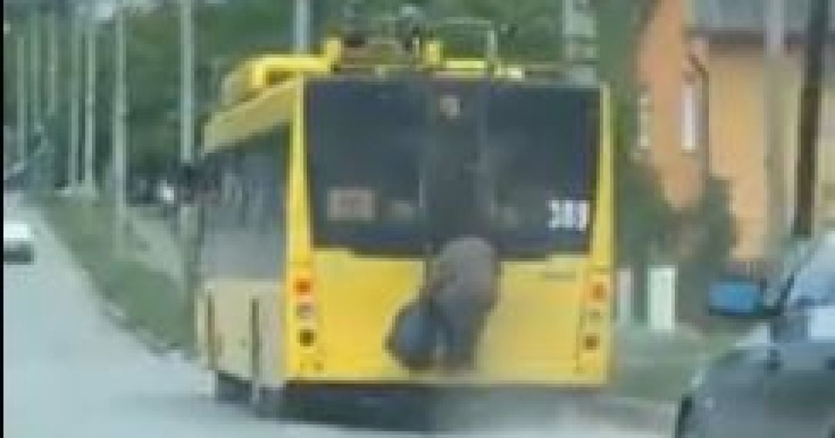 В Сети обсуждают видео с бабушкой-зацепером, которая ехала на троллейбусе в Черновцах