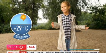 Яка погода буде в Україні на святкові серпневі вихідні — Погода від Фросі