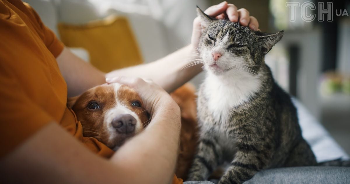 Топ-7 отруйних рослин для домашніх тварин