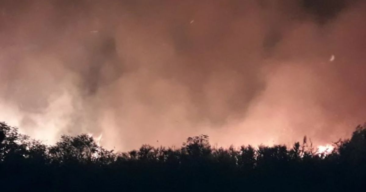 Спасатели потушили огонь на Днепровских плавнях, но пожар успел уничтожить имущество дачников