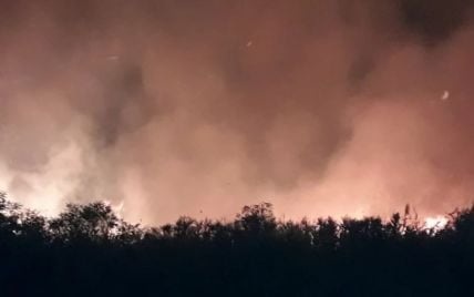 Спасатели потушили огонь на Днепровских плавнях, но пожар успел уничтожить имущество дачников