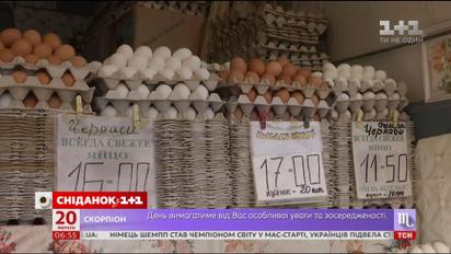 Ціна на курячі яйця впала наполовину