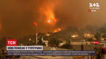 Новини світу: у курортній провінції Мугла спалахнули лісові пожежі