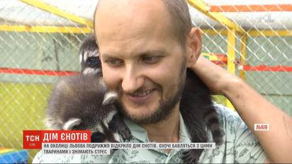 Черги та платний вхід: на околиці Львова молоде подружжя відкрило Дім єнотів