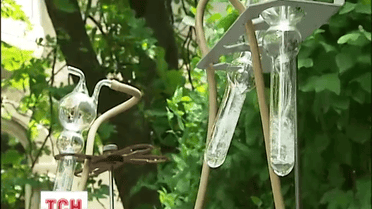 Врачи советуют киевлянам чаще мыть пол и пить много воды