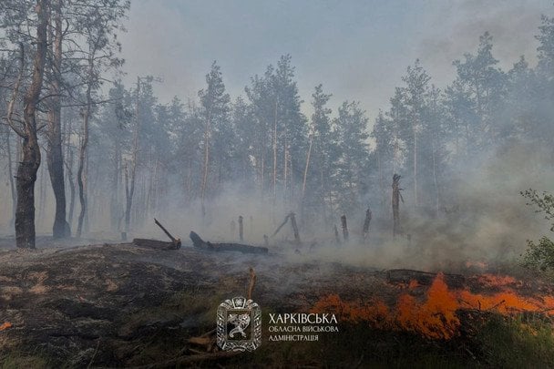 В Харьковской области предупредили об опасности: что грозит