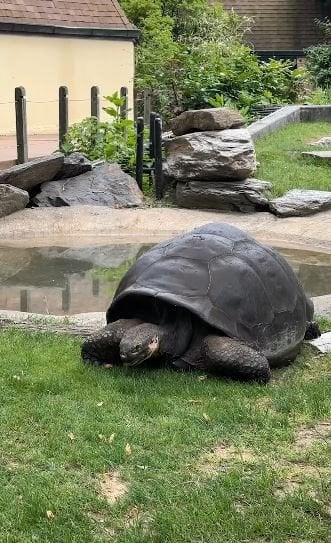  / © Philadelphia Zoo