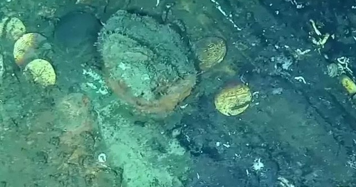 Скарби / Фото: YouTube/DimarColombia