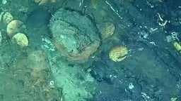 Скарби / Фото: YouTube/DimarColombia