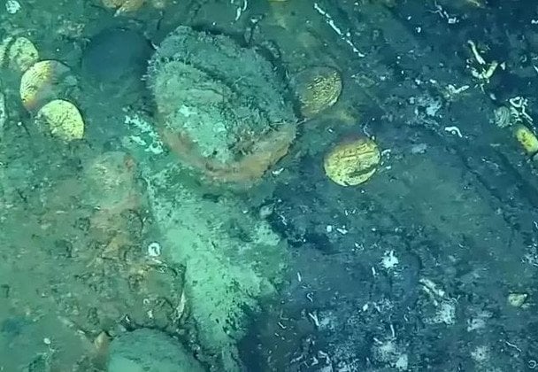 Скарби / Фото: YouTube/DimarColombia