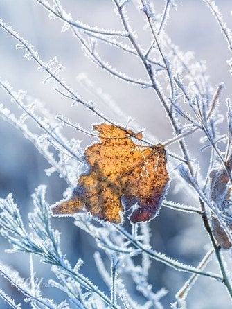 Гороскоп на 8 декабря