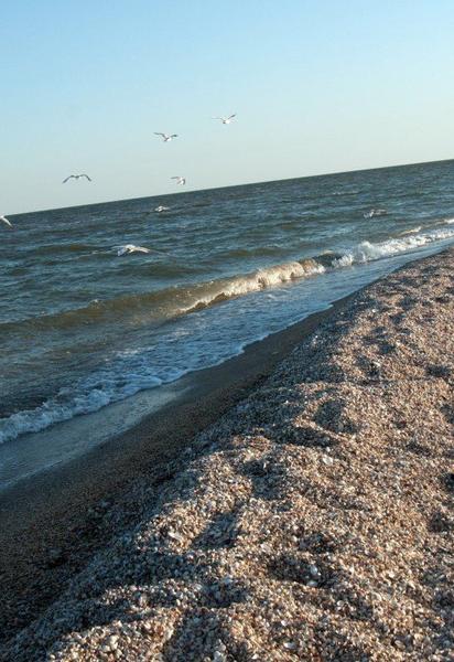 Отдых на Белосарайской косе: что посмотреть и сколько стоит морской отпуск