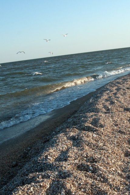 Отдых на Белосарайской косе: что посмотреть и сколько стоит морской отпуск