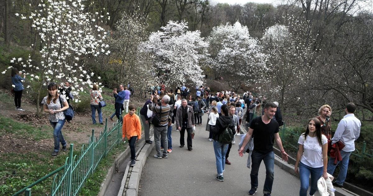 Уранці дутиме сильний вітер, а вдень розпогодиться і буде без опадів. Прогноз на 20 квітня