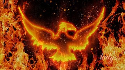 Птица Феникс