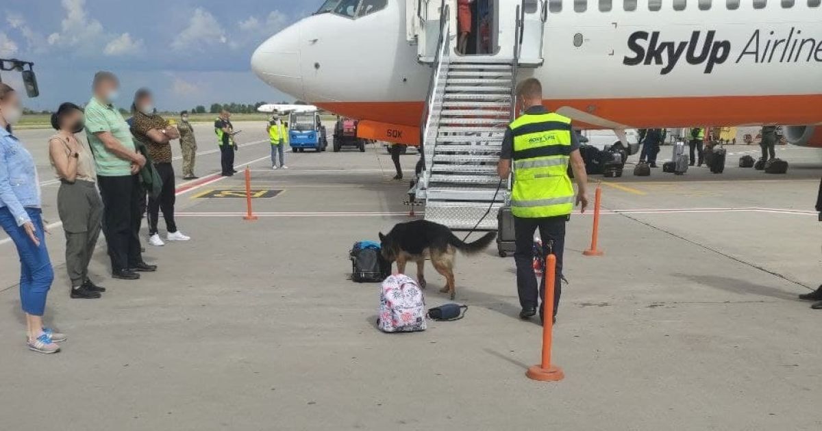 В аеропорту Бориспіль у літаку сполученням Тбілісі- Київ шукали вибухівку