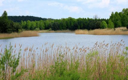 Смертельный отдых на воде: в Винницкой области утонули двухлетняя девочка и мужчина