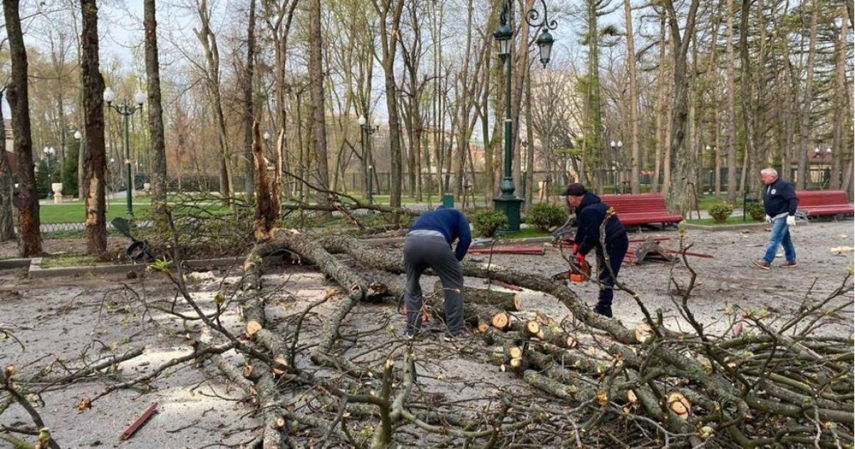 У звільнених населених пунктах Харківщини відновлюють електропостачання і розчищають вулиці – ОП