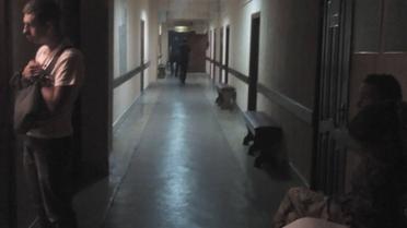 Зловмисник на Волині_2 / © Волинь24