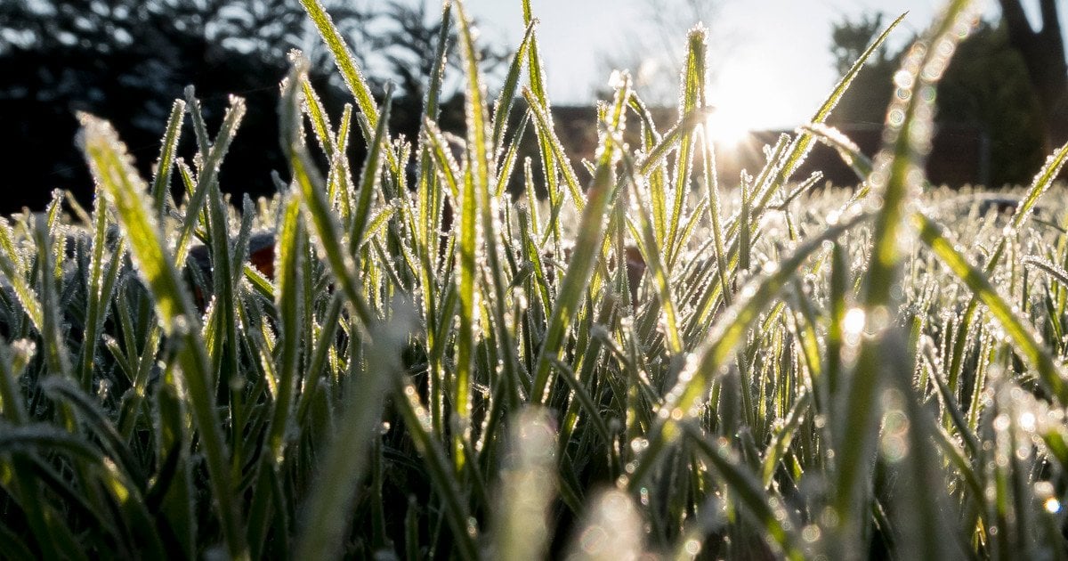 Синоптики розповіли, якою буде погода в Україні 23 квітня