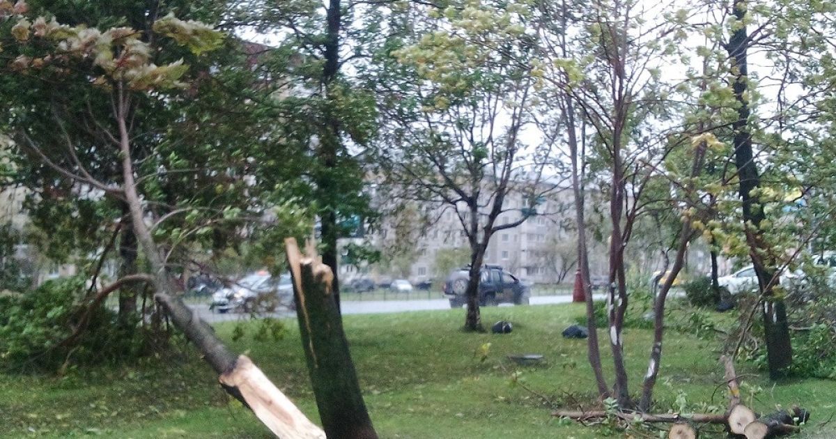 На Сахалине бушует непогода / © sakhalin.info