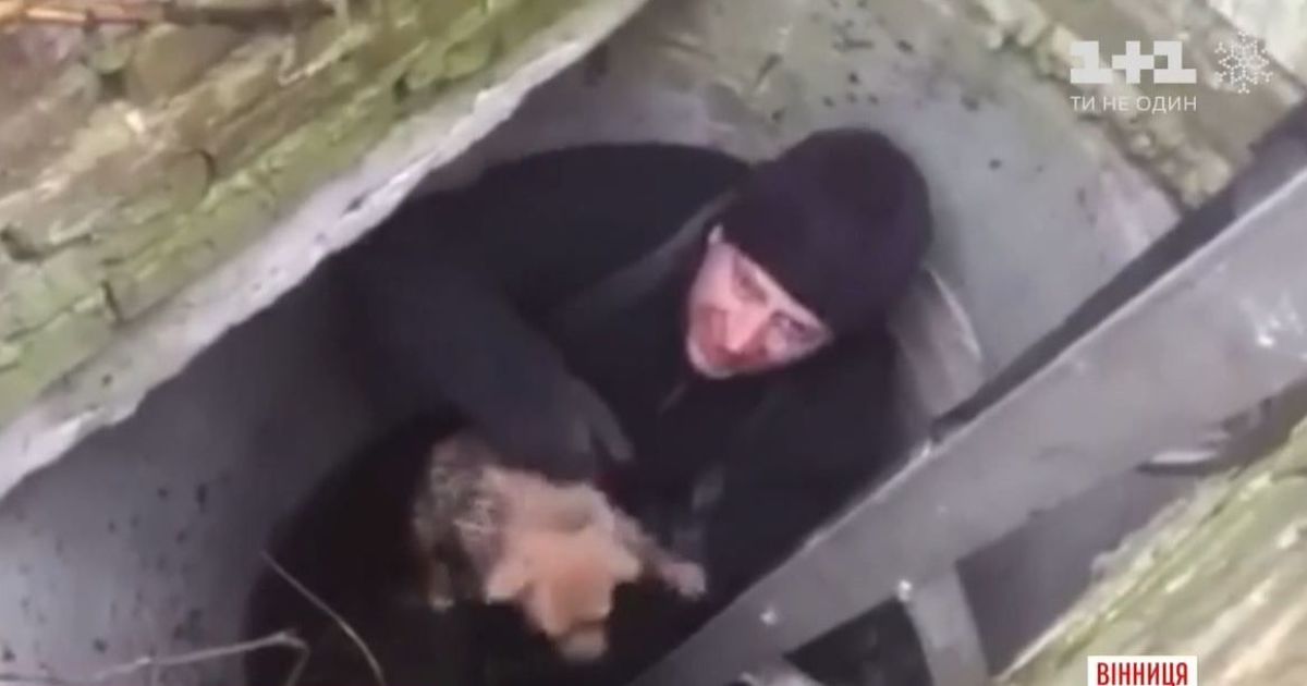 У Вінниці рятувальники витягли з колодязя маленьке цуценя
