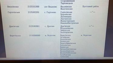 об'єднання громад в Закарпатті_16 / © Telegram/Олексій Гончаренко