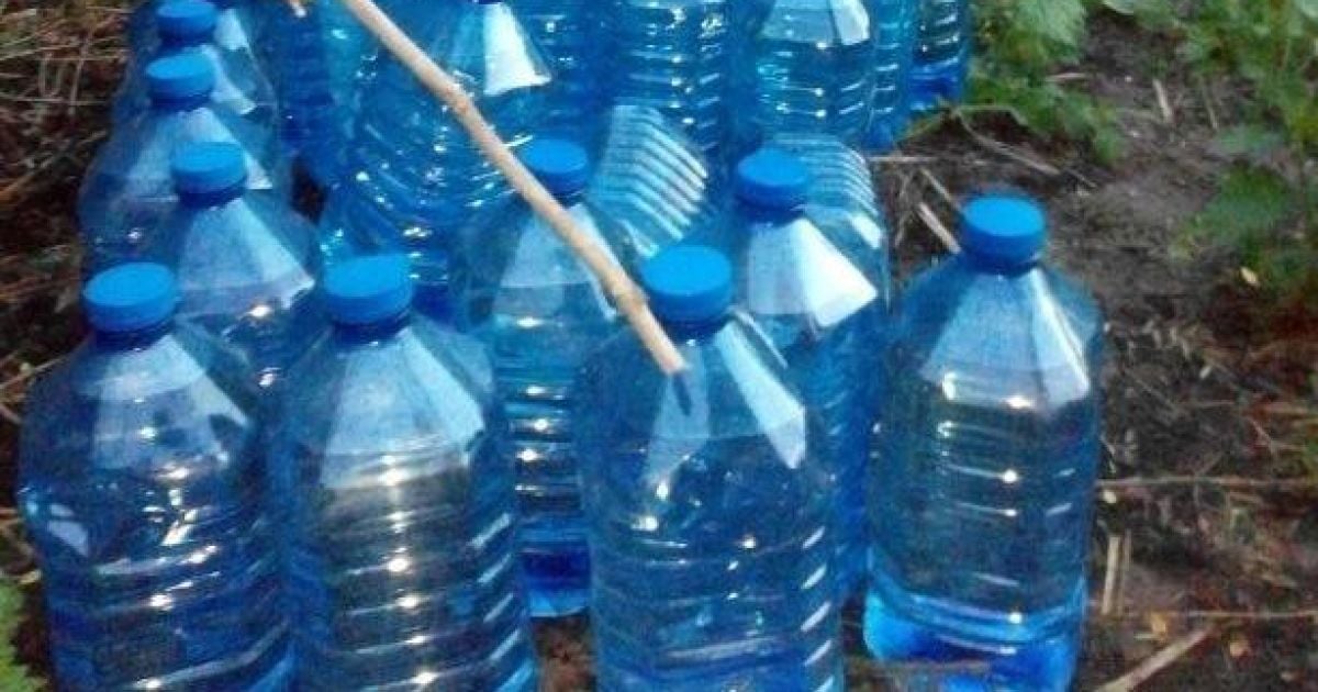 У покинутому автомобілі прикордонники знайшли майже тисячу літрів спирту