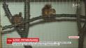 Працівники ДСНС дбають про маленьких білочок, які оселилися на території частини