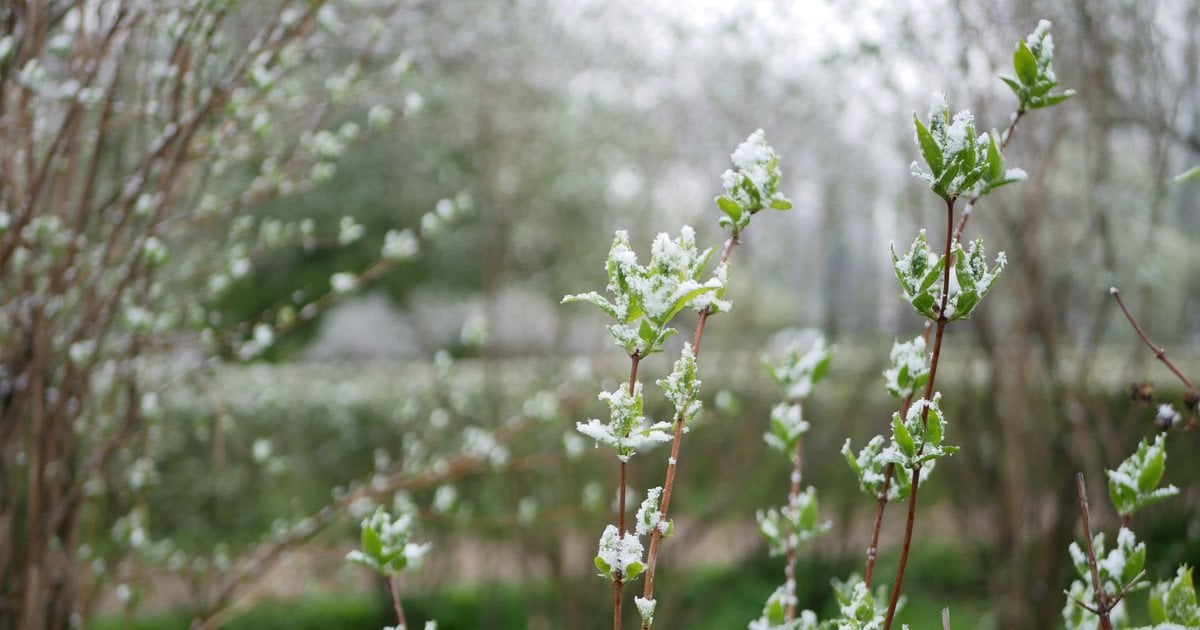 Синоптики розповіли, якою буде погода в Україні на вихідних