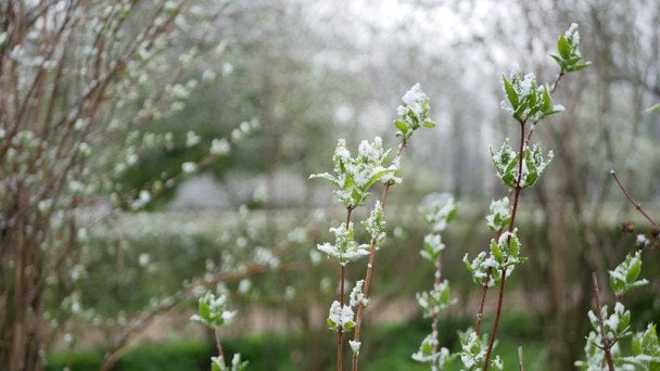До України повертається "зима": синоптикиня попередила про сніг і нову хвилю холоднечі