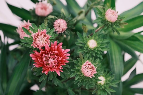 День ангела 4 ноября – душевные поздравления в прозе / © Unsplash