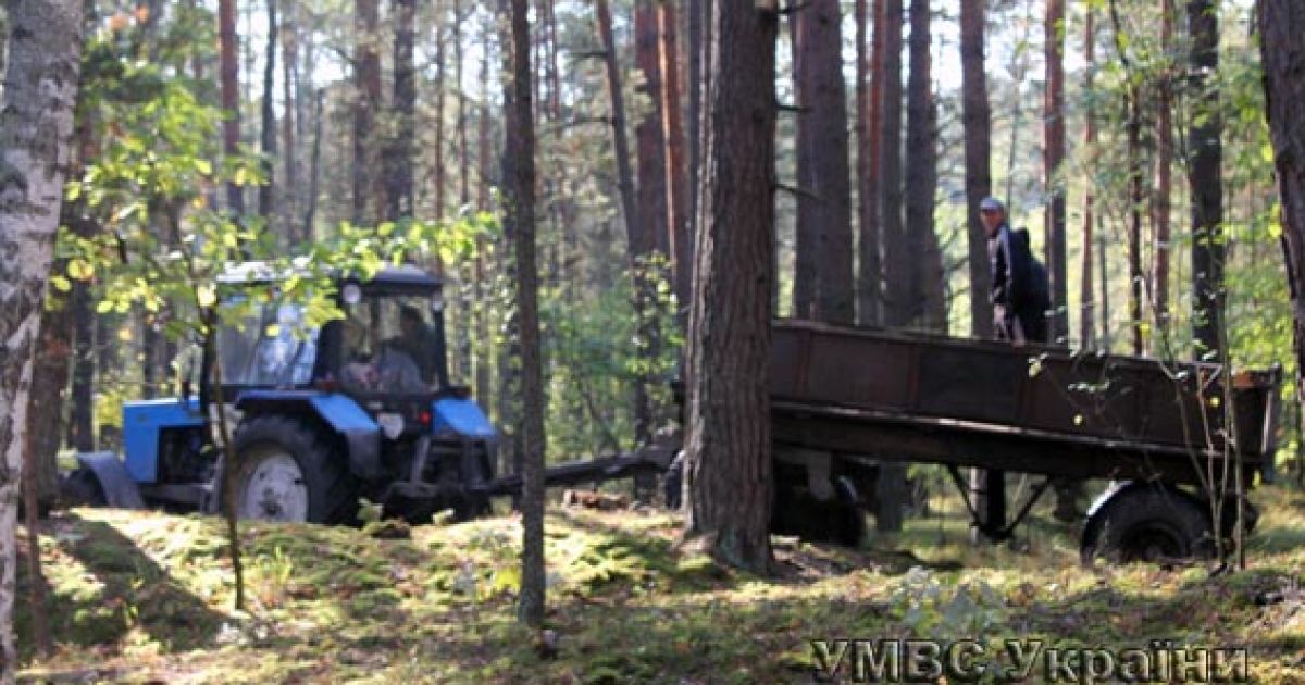 Силовики задержали 17 человек / © УМВД в Волынской области